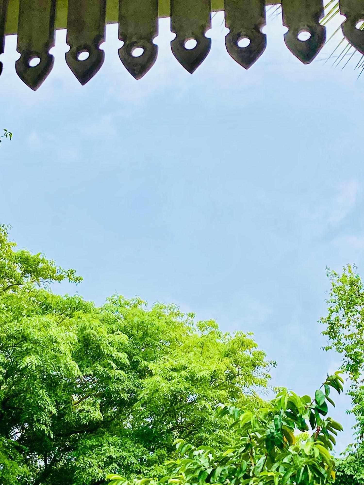 Mountain Seaview Cabanas Tangalle Exterior photo